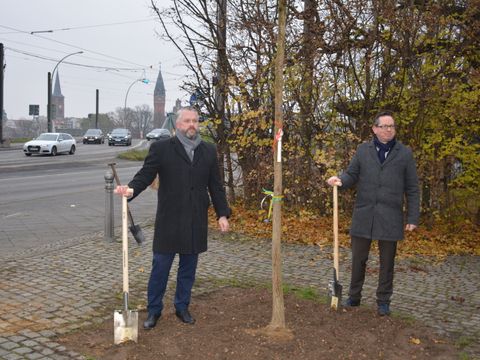 Bildvergrößerung: BTB Geschäftsführer Weiblein und Bezirksbürgermeister Igel pflanzen Baum am Köllnischen Platz
