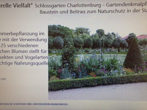 Bildvergrößerung: Sommerbepflanzung des Schlosses Charlottenburg