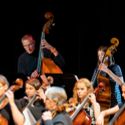 Bildvergrößerung: Mehrere Menschen spielen Cello und Kontrabass