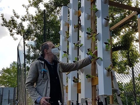 Ein Mensch arbeitet an einem vertikalen Farmmodul, in dem Salate wachsen, im Hintergrund urbaner Garten und Straße