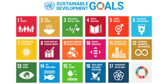 Icons mit Zeichnungen und Sätzen zu den Sustainable Development Goals der UN