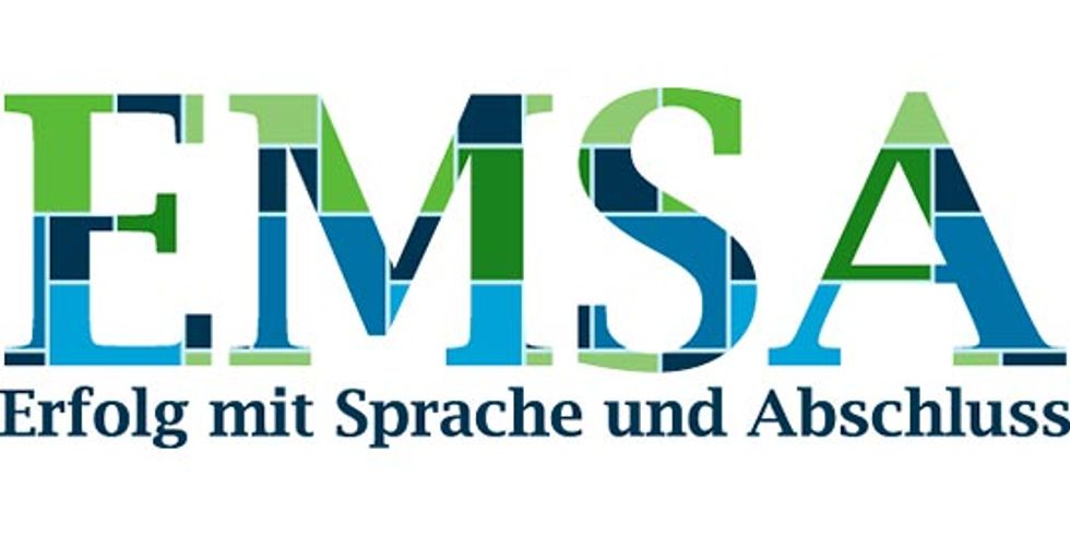 Logo Emsa Intro