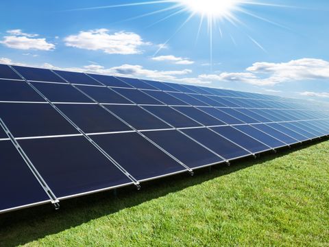 Solarzellen auf einer Wiese