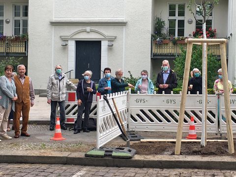 Bildvergrößerung: Pflanzung vor der Seniorenresidenz Sophiengarten in der Paulsenstraße 5 in Steglitz-Zehlendorf