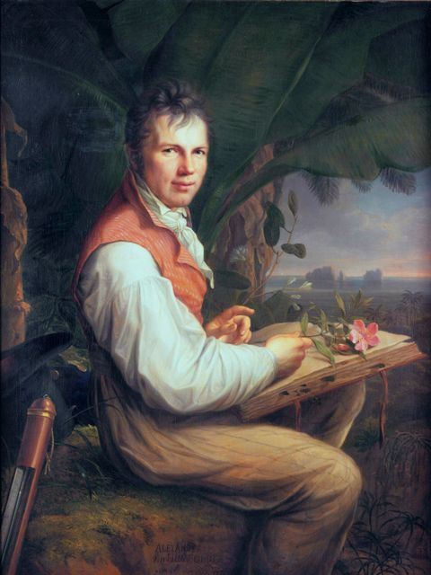 Alexander von Humboldt (Gemälde von Friedrich Georg Weitsch)