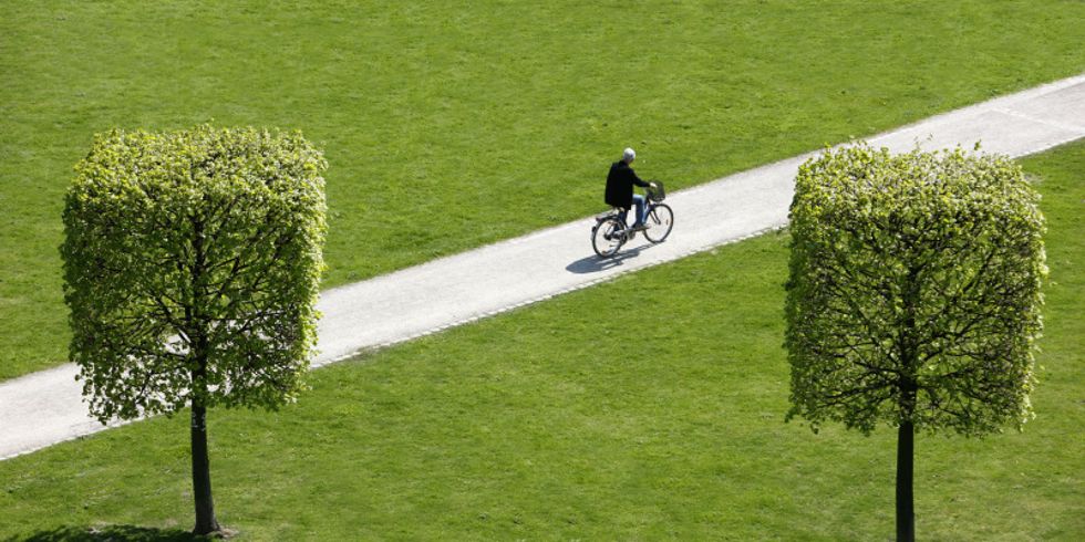 Bäume, die quadratisch zugeschnitten sind, mit Radfahrer im Hintergrund
