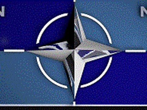 Lizensfreies Bild NATO Symbol