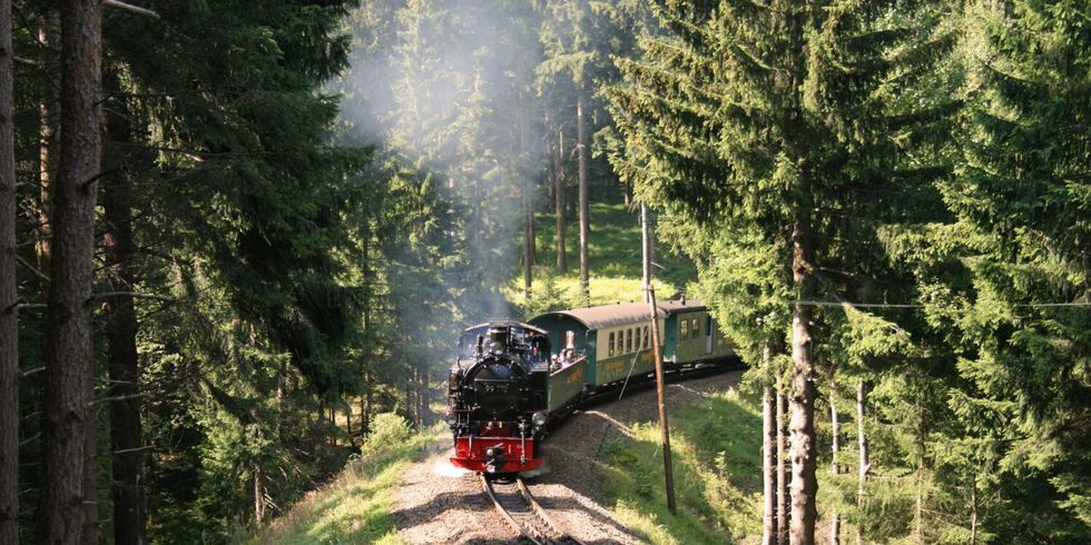 Fichtelbergbahn schnauft bergwärts durch den Wald