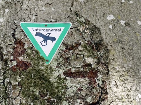 Naturdenkmal Schild