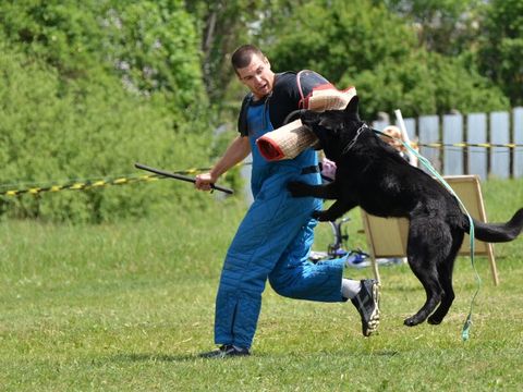 Polizeihund beißt während einer Übung in den Arm eines Mannes