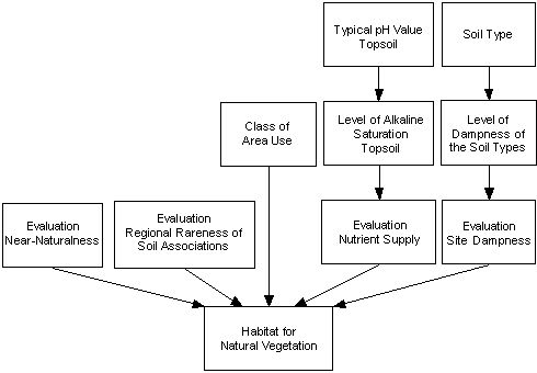 Figure 1: Plan for the evaluation of the habitat function for natural vegetation