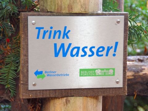 Der Berliner Wald liefert hochwertiges Trinkwasser