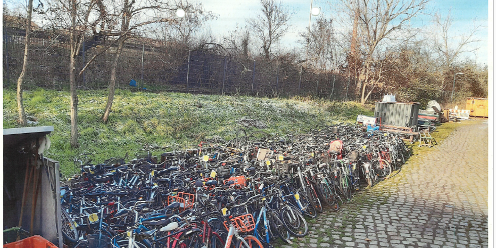 Insgesamt wurden 216 Schrottfahrräder, drei Fahrradständer und zwei Fahrradanhänger eingesammelt. 