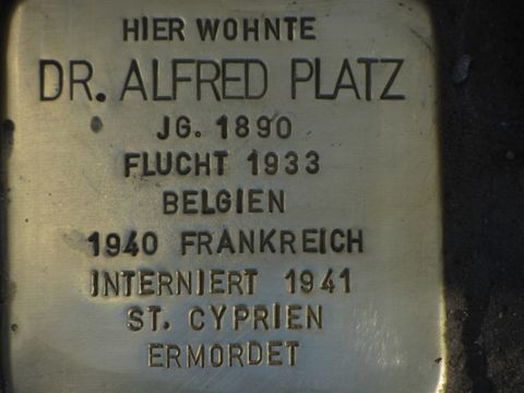 Stolperstein Dr. Alfred Platz