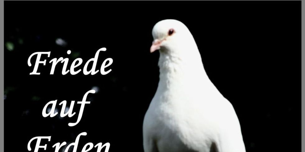 Eine weiße Taube mit dem Spruch, Friede auf Erden