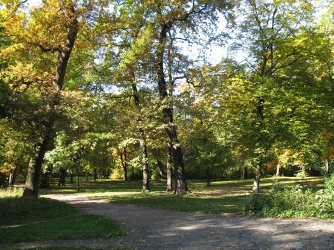 Der Stadtpark Steglitz
