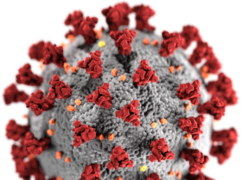 Bild von SARS-CoV-2 Virus 