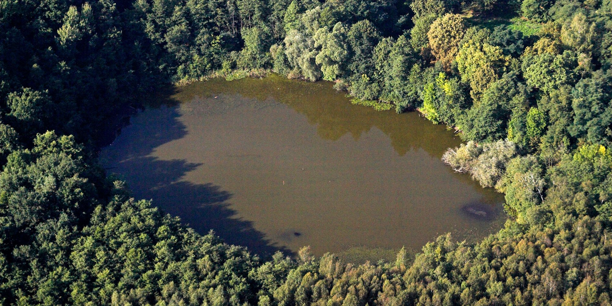 Bildvergrößerung: NSG und NATURA 2000-Gebiet Teufelsseemoor Köpenick, Luftbild