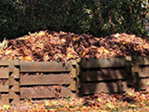 Kompost mit Laub