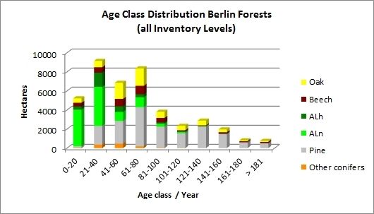Fig. 5: Age-Class Distribution Berlin Forests (all Inventory Levels)
