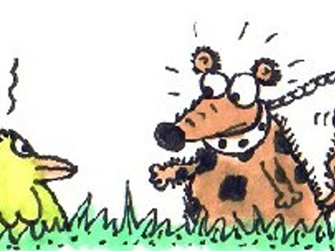 Cartoon zum Thema Leinenpflicht für Hunde - von Eckehard Plum