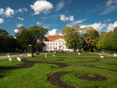 Grasfläche vor dem Schloss Friedrichsfelde im Tierpark Berlin