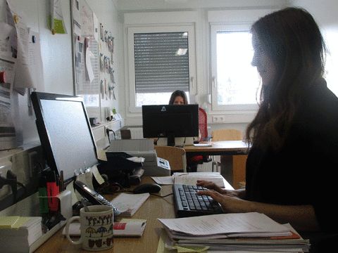 Zwei Frauen arbeiten am Computer im Büro 