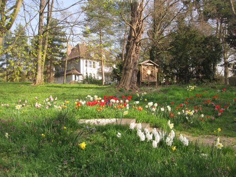 Bildvergrößerung: Frühling im Rhoda-Erdmann-Park am Koenigssee