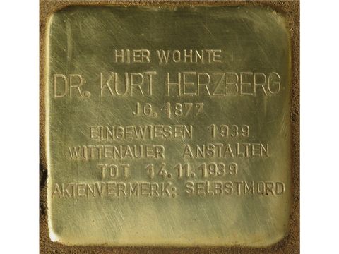 Stolperstein für Dr. Kurt Herzberg