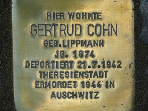 Stolperstein für Gertrud Cohn