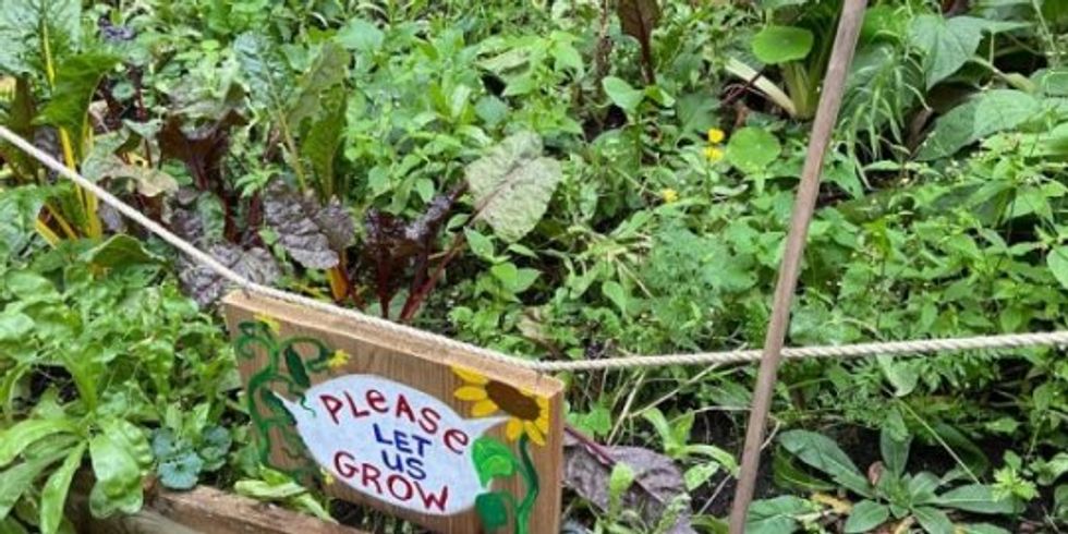 Nahaufnahme einer Baumscheibe auf der ein selbstgebautes Schild angebracht ist. Darauf eine handgemalte Sonnenblume mit der Sprechblase: "Please let us grow"