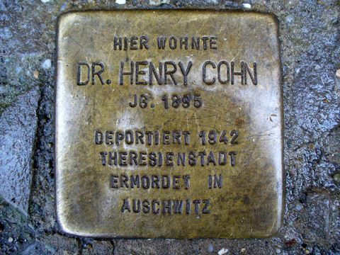 Stolperstein für Dr. Henry Cohn