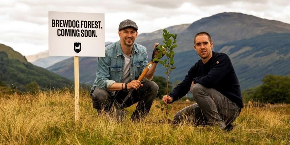 Zwei Personen pflanzen einen Baum neben einem Schild mit der Aufschrift "Brewdog Forest, coming soon".