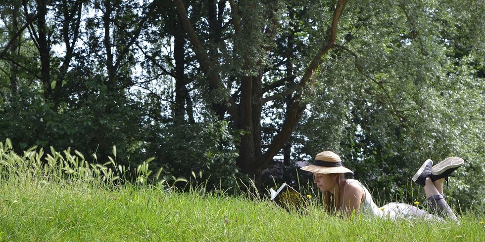 Frau liegt im Gras und liest ein Buch