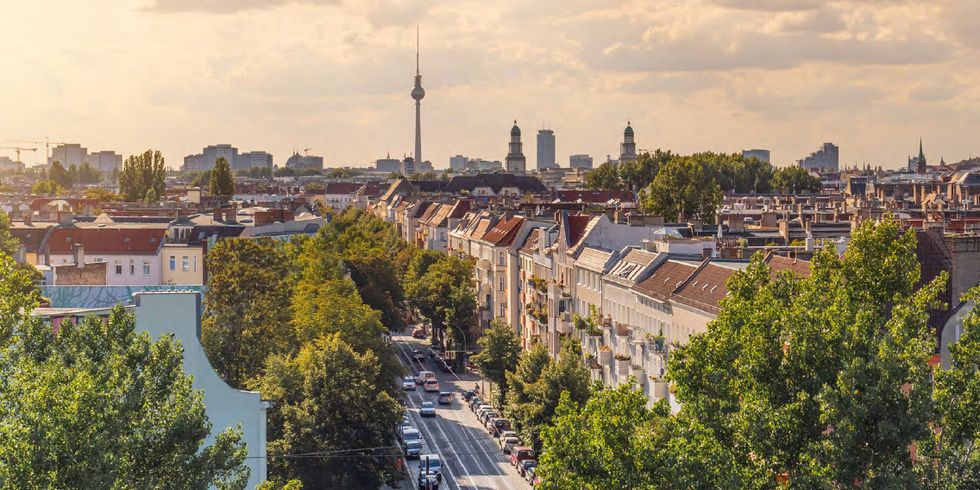Straßenbaum-Zustandsbericht "Berliner Innenstadt 2020"