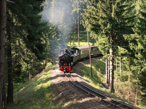 Fichtelbergbahn schnauft bergwärts durch den Wald