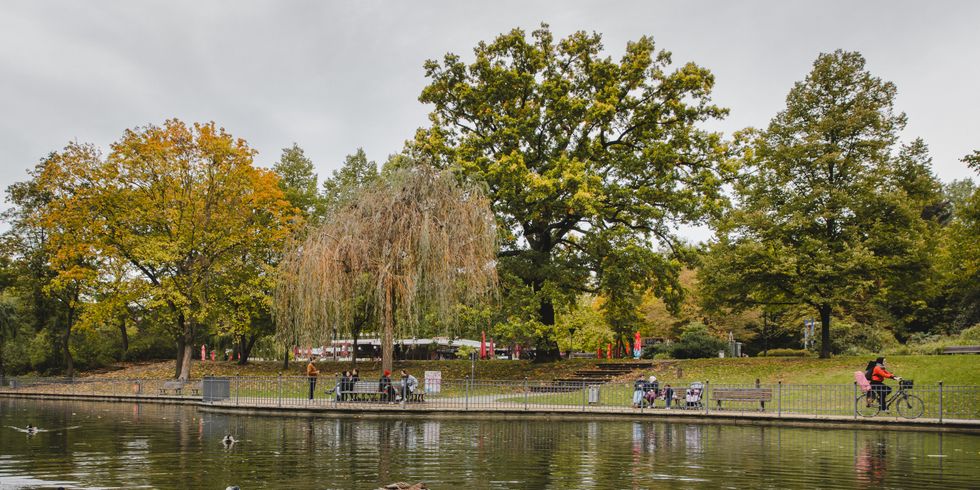 Bild vom Teich im Volkspark Friedrichshain