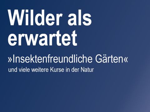 Plakatausschnitt der Berliner vhs-Kamapage ab 2023 - Wilder als erwartet