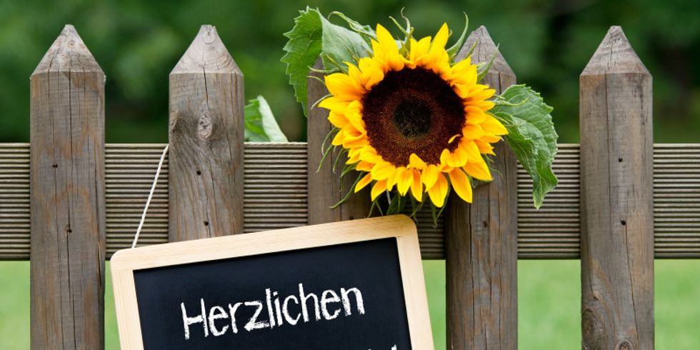 Am Gartenzaum hängt ein Schild mit der Aufschrift" Herzlichen Glückwunsch" und eine Sonnenblume