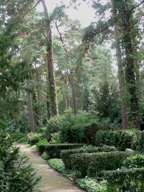 Bildvergrößerung: Waldfriedhof Dahlem Hecken
