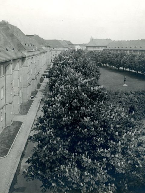 Hier sehen Sie ein Schwarz-Weiß Foto, welches ein Reihenhaus und Bäume zeigt