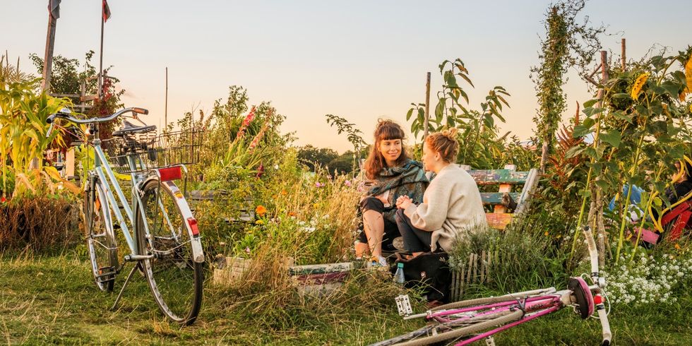 Zwei Frauen sitzen vor Grünpfllanzen auf dem Tempelhofer Feld. Vor ihnen im Gras liegen zwei Fahrräder
