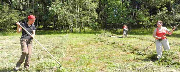 Ehrenamtliches Engagement zur Pflege von Waldwiesen