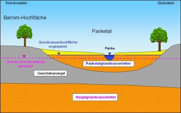 Abb. 7 Der ungespannte Panketalgrundwasserleiter (GWL 1) im Nordwesten von Berlin liegt über dem Hauptgrundwasserleiter (GWL 2), der hier gespannt ausgebildet ist