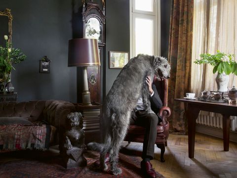 Bildvergrößerung: In einem Wohnraum mit hochwertigen Mobiliar sitzt ein Mensch auf einem Sessel und hält einen sehr großen wuscheligen Hund hoch. Der Hund steht noch auf seinen Hinterbeinen. Das Gesicht des Menschen sieht man nicht.