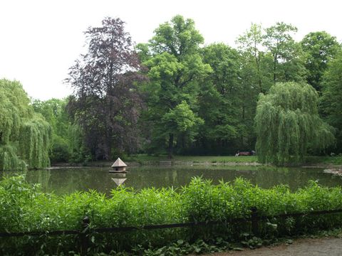 Blick über den Teich, im Hintergrund das viele Grün des Stadtparks.