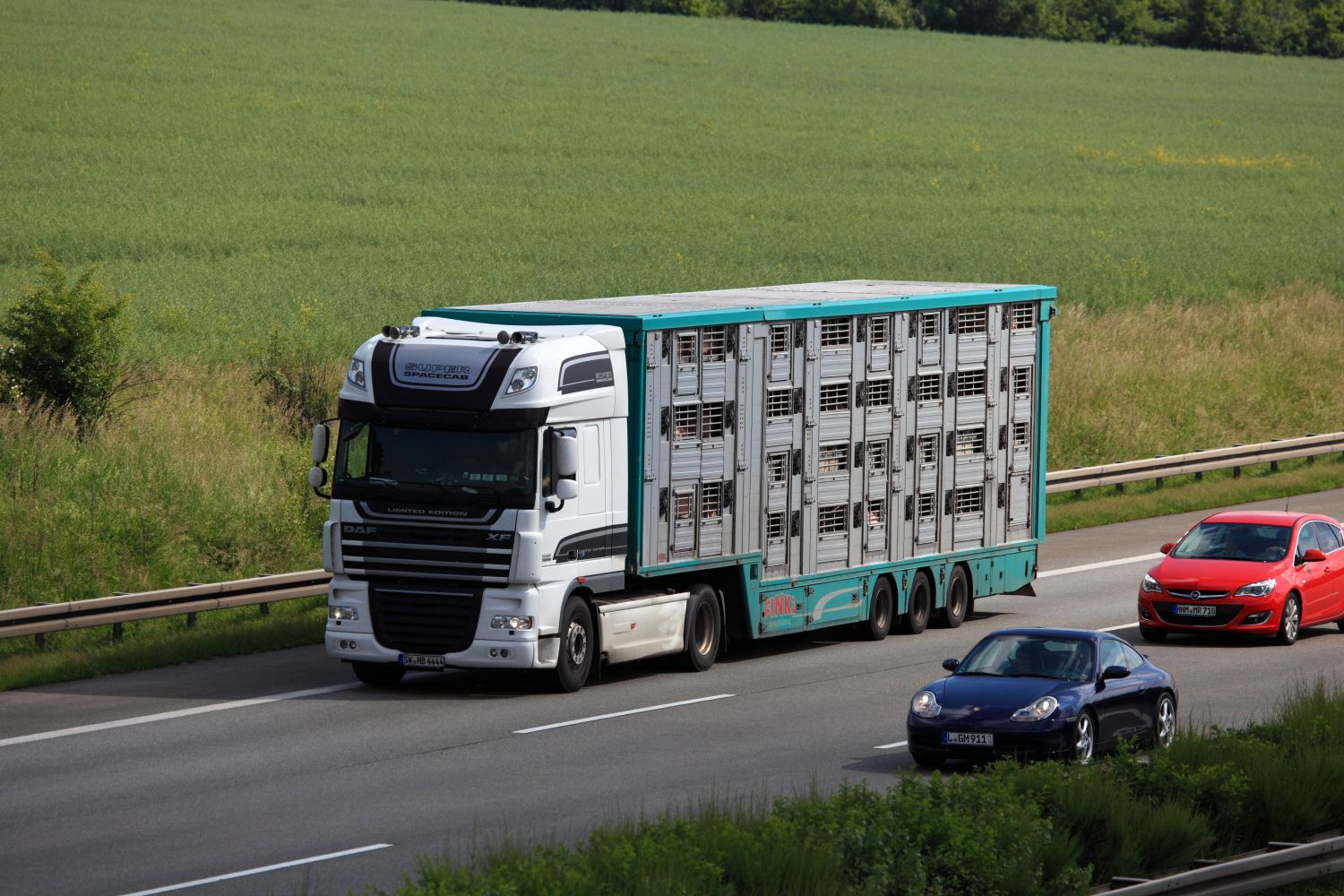 Tiertransport LKW auf einer Autobahn und zwei weitere PKW
