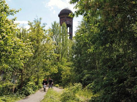 Berliner Kleinod: Natur-Park Schöneberger Südgelände