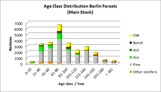 Fig. 4: Age-Class Distribution Berlin Forests (Main Stock)
