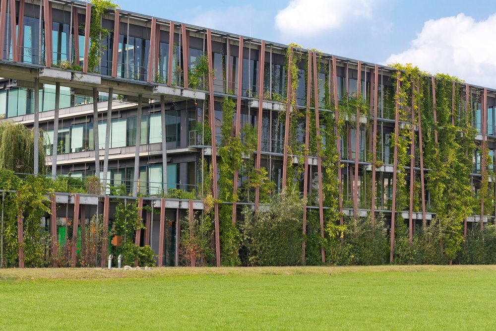 Institut für Physik in Berlin-Adlershof - Fassadenbegrünung
